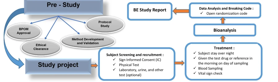 BIOEQUVALENCE STUDY